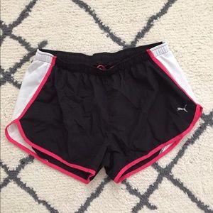 Puma Women’s Shorts Size Large